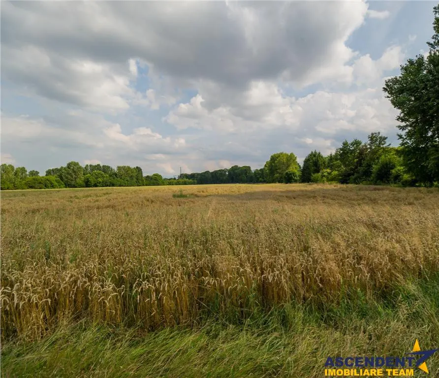 8.000 mp teren intravilan, Tractorul, Brasov - foto 4