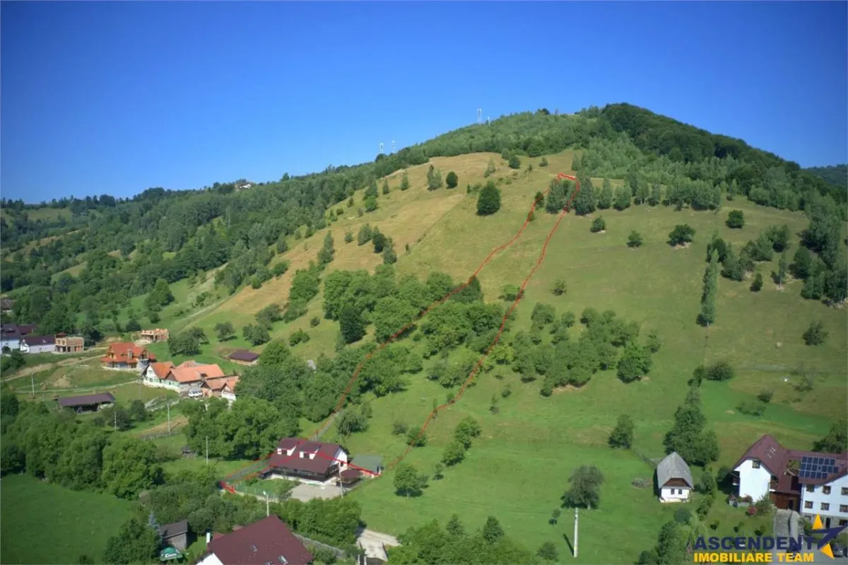 5.000 mp, 2 loturi, aria Castelul Bran, Brasov - foto 3