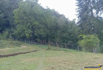 Casa rustica cu semineu,1.100mp teren, priveliste,padure:refugiu autentic in natura,Baciu Sacele,Brasov - Sacele
