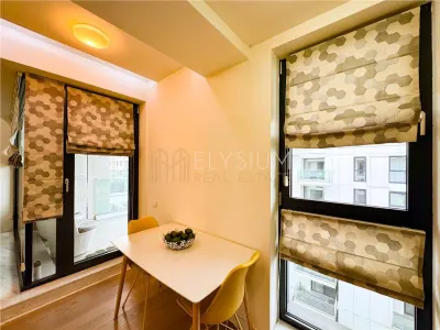 Apartament de inchiriat 2 camere One Herastrau Plaza - foto 9