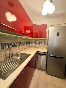 Apartament 2 camere de inchiriat Dorobanti - foto 19