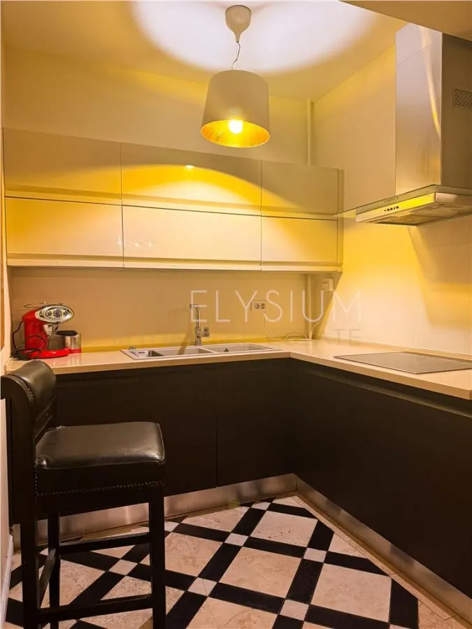 Apartament 2 camere de inchiriat Herastrau Nordului - foto 14