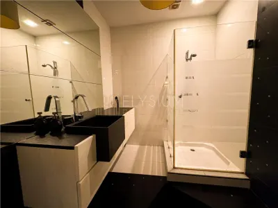 Apartament 2 camere de inchiriat Herastrau Nordului - foto 20