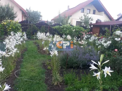 Bacau ,  Vila, la 5 minute de Centrul Orasului - foto 7