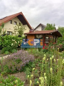 Bacau ,  Vila, la 5 minute de Centrul Orasului - foto 10