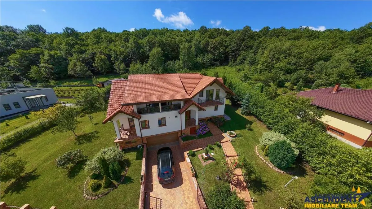 Refined ensemble, elite natural setting, 5 km from Corvin Castle. - foto 18