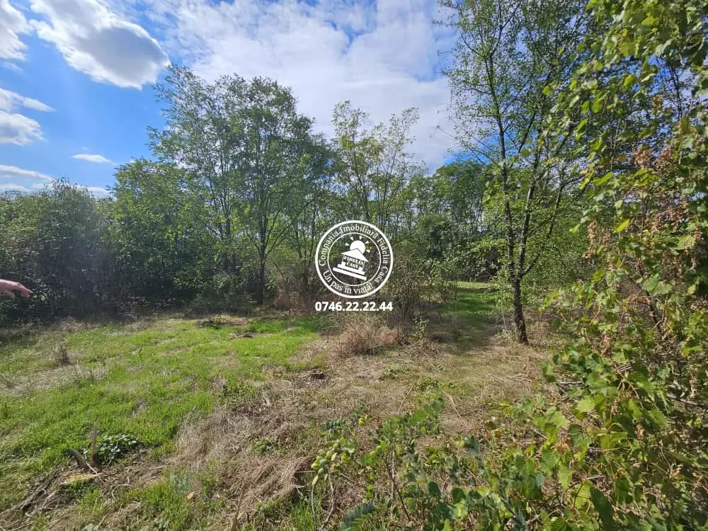 Teren intravilan 904 mp, langa padure - Aroneanu , Iasi - foto 1