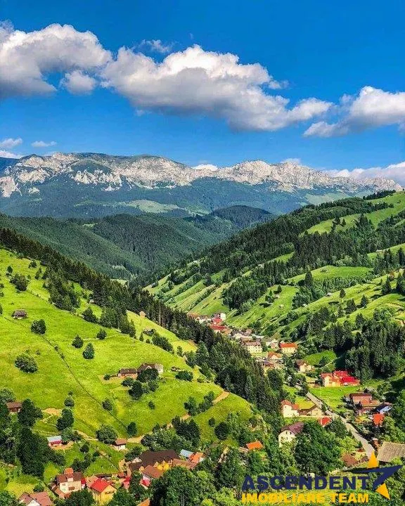 Linie HoReCa, Moieciu, Bran, Brasov - foto 2