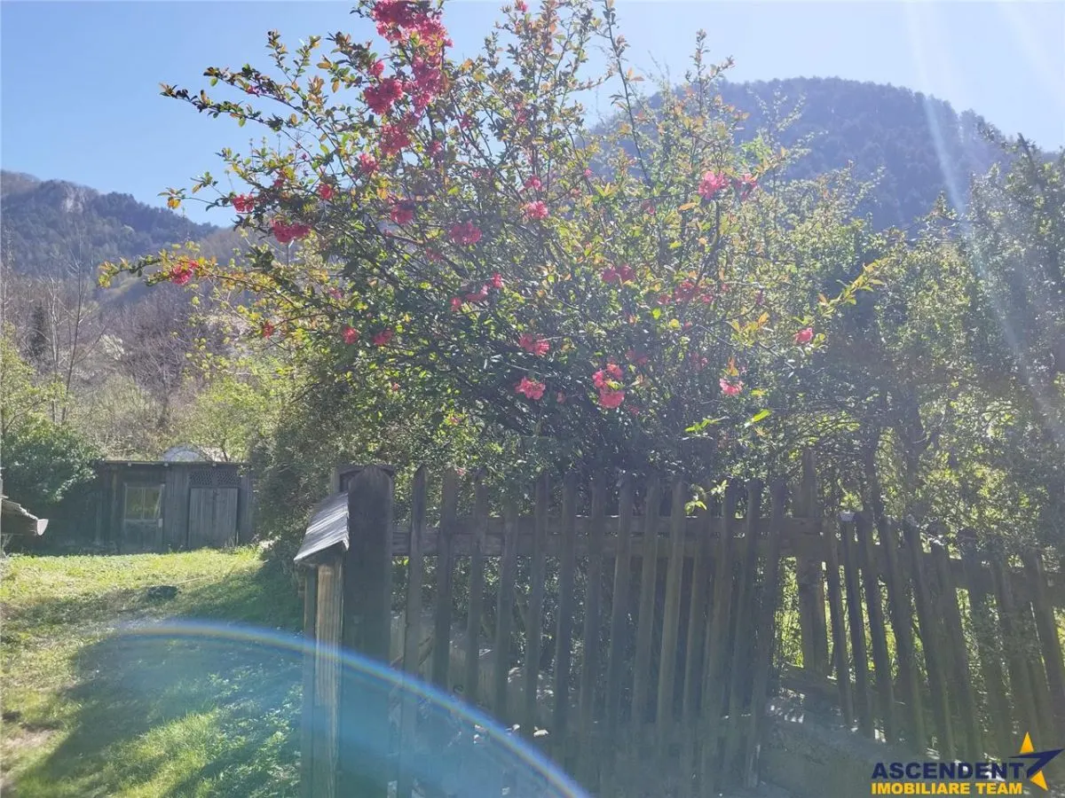 1.600 mp teren, cu casa renovabila, Schei, Brasov - foto 1