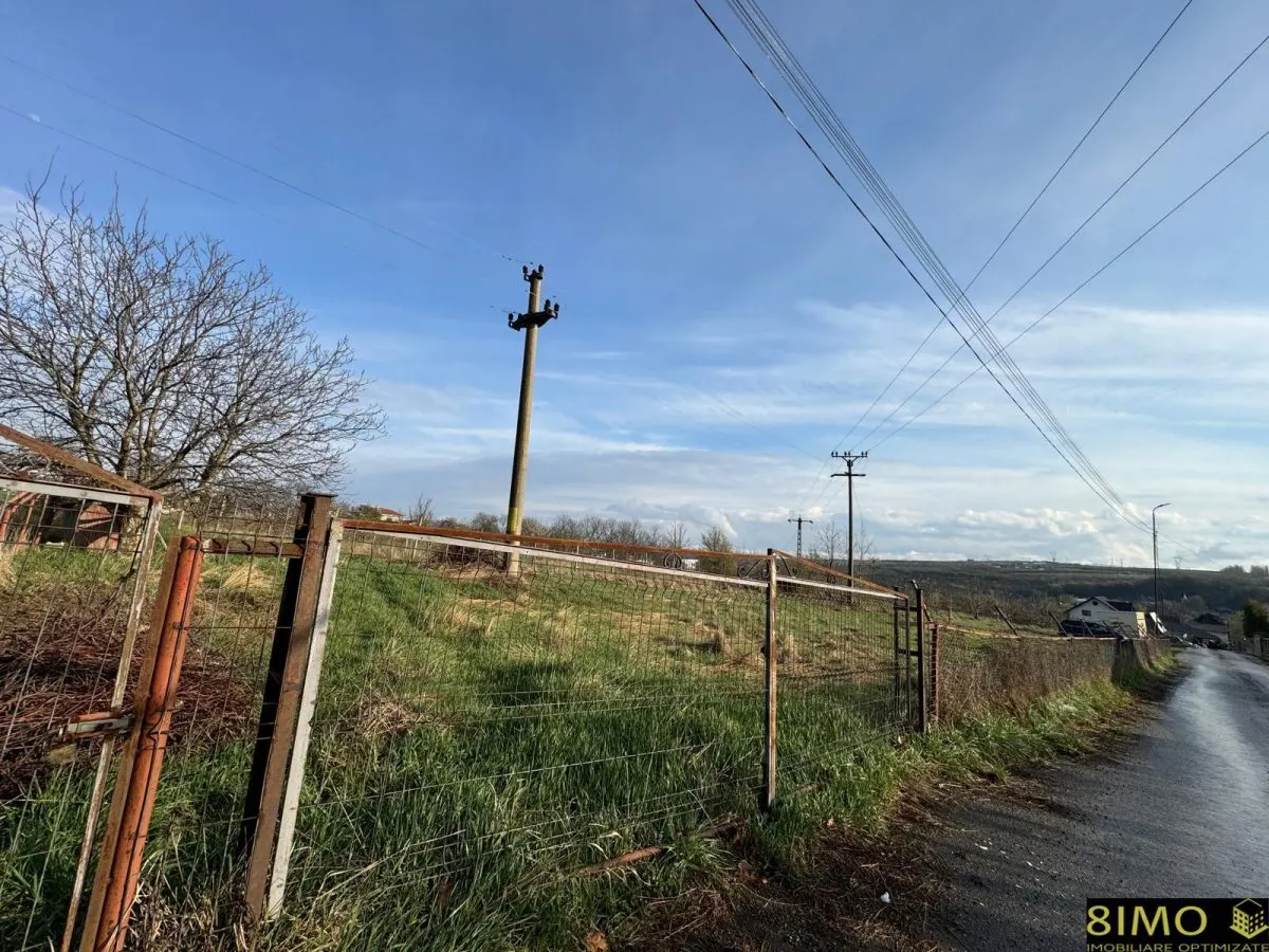 Teren Aleea Lizucai - Falticeni - foto 1
