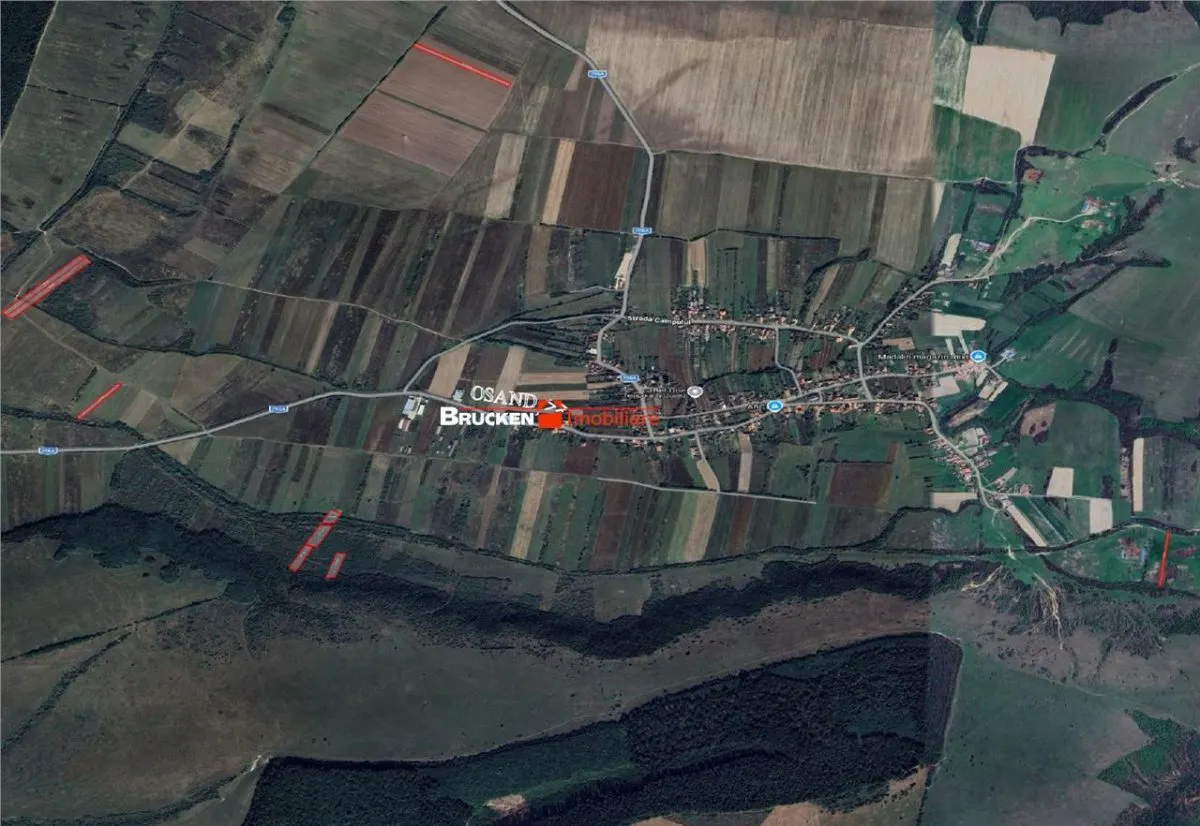 Teren arabil de vanzare â€“ 2,34 ha (23.400 mp) â€“ Husasau de Tinca-BH - foto 6