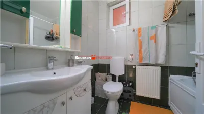 DUPLEX IN CARTIERUL ONCEA CU PARCARE SI CURTE - foto 10