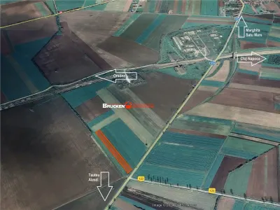Teren Intravilan - Autostrada Transilvania - iesirea Chiribis - Tauteu