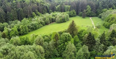 Teren intravilan, 20,000 mp, Vulcan - Brasov