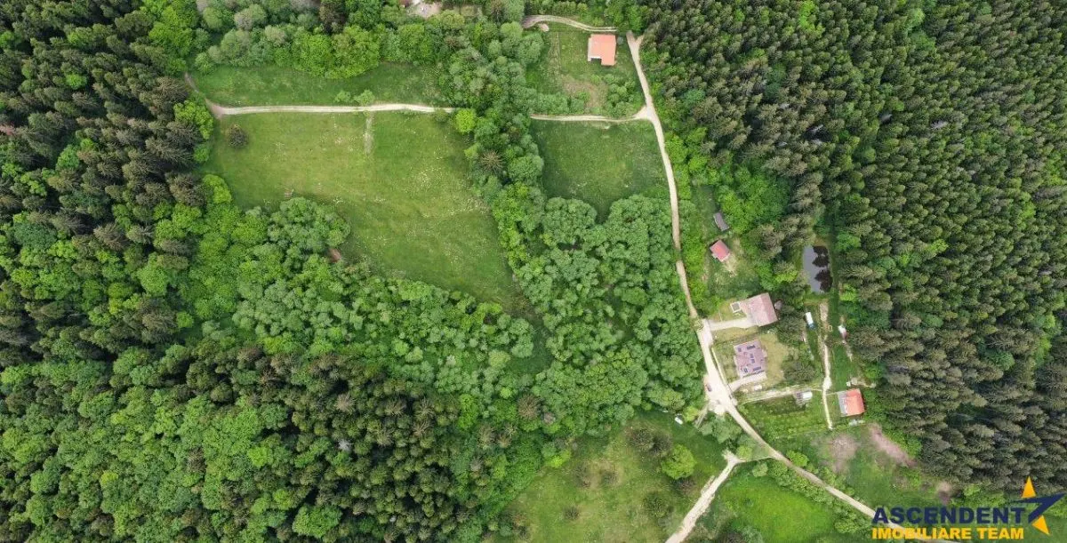 Teren intravilan, 20,000 mp, Vulcan - foto 3