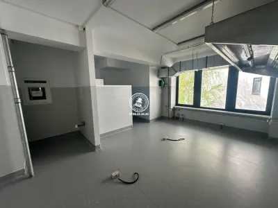 Spatiu comercial 182 mp de inchiriat, Valea Lupului - foto 9