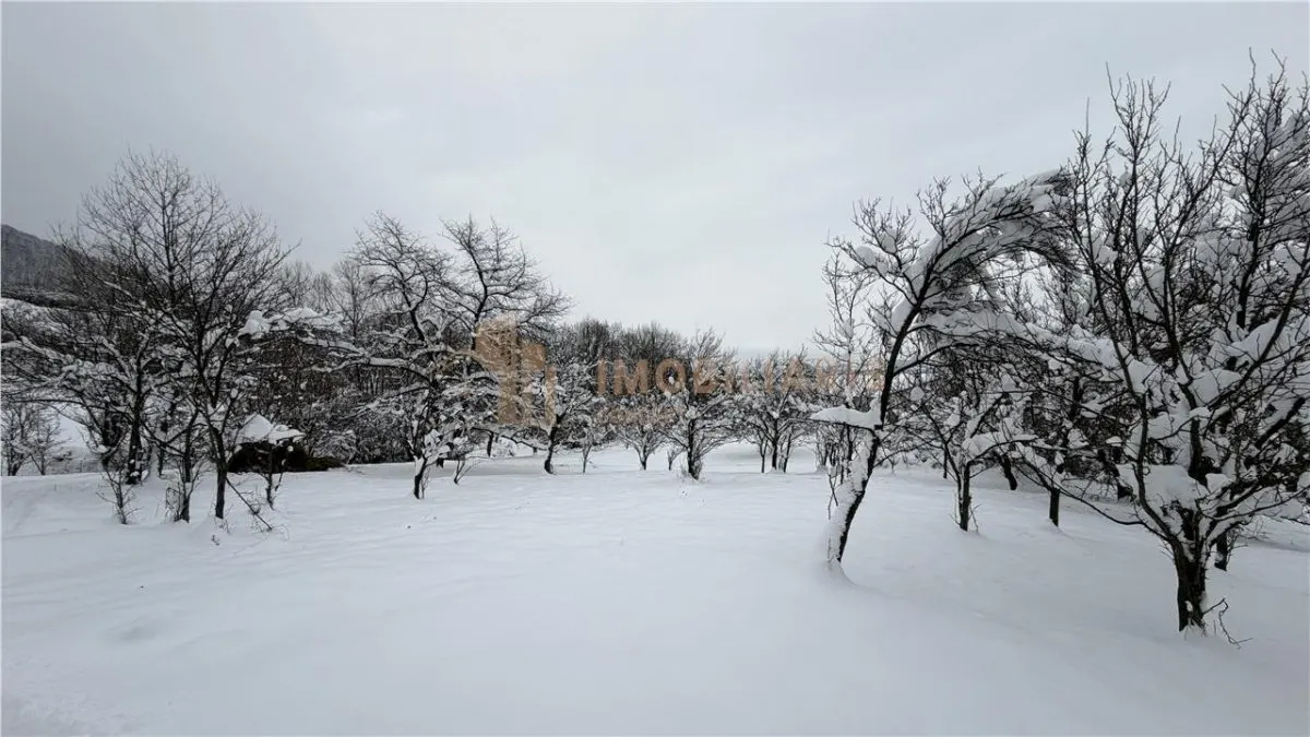 Teren Extravilan, zona Nucului - foto 1