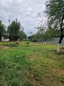 Casa Tautii de Sus - foto 3