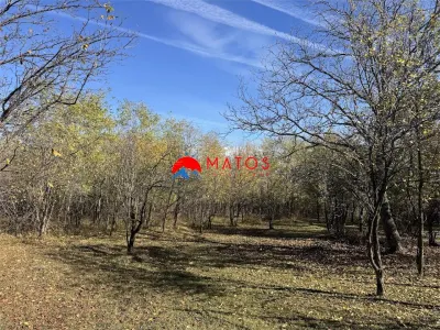 Teren intravilan 6.842 mp de vanzare in Poiana Campina, vedere placuta - foto 2