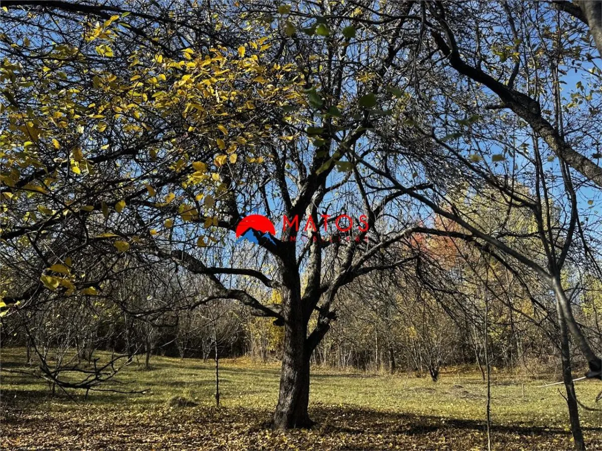 Teren intravilan 6.842 mp de vanzare in Poiana Campina, vedere placuta - foto 11