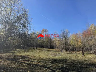 Teren intravilan 6.842 mp de vanzare in Poiana Campina, vedere placuta - foto 5