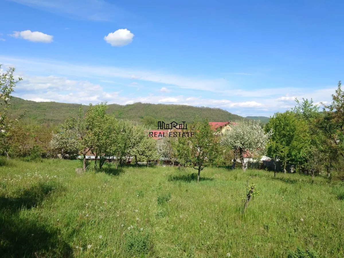 Casa si Teren Brad la drum european - foto 4