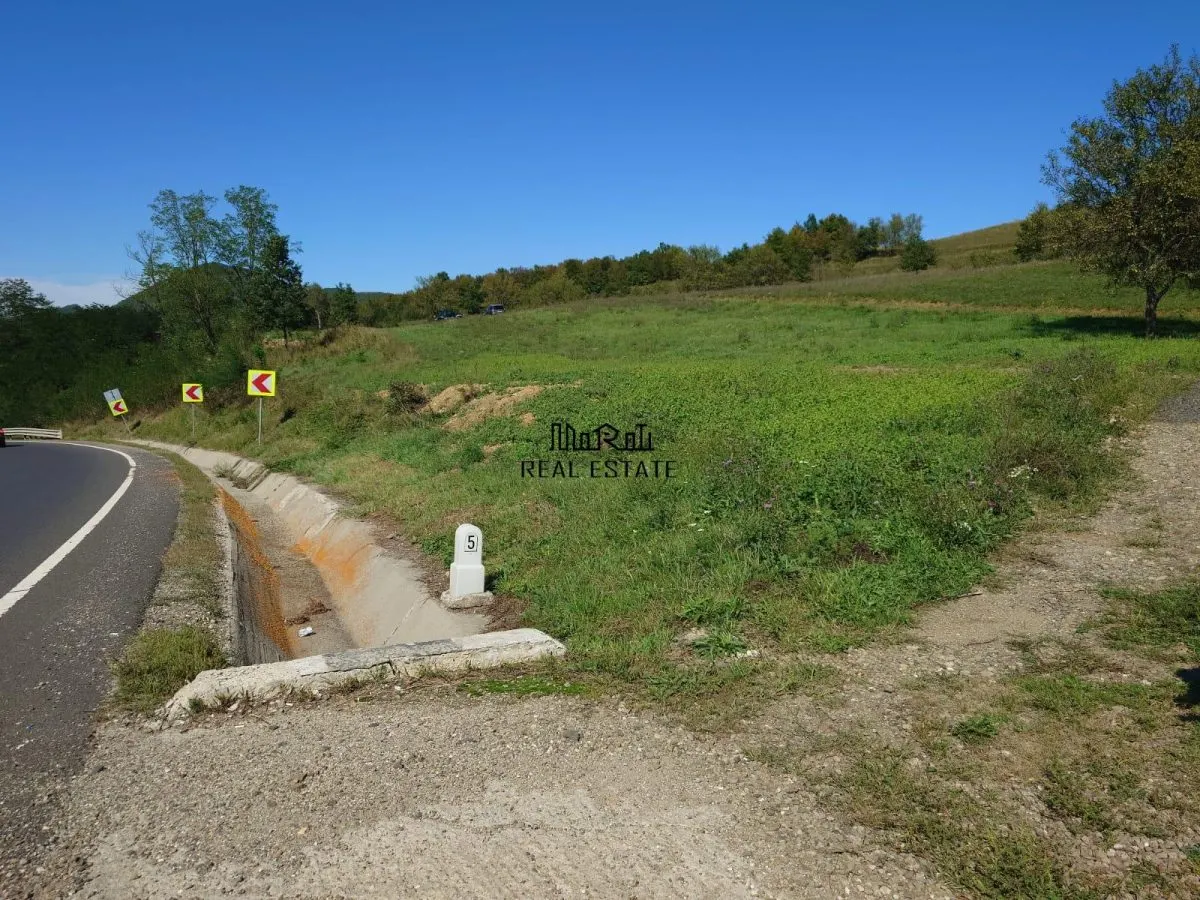 Teren intravilan 8757 mp cu acces direct la E79 - foto 1