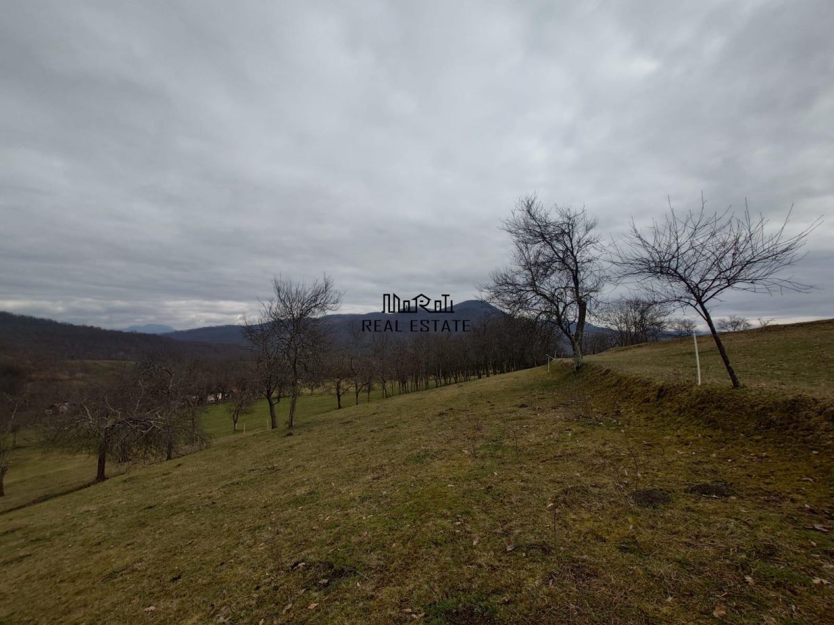 Teren intravilan si extravilan Luncoiu de Jos - foto 19