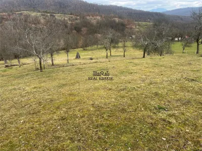 Teren intravilan si extravilan Luncoiu de Jos - foto 7