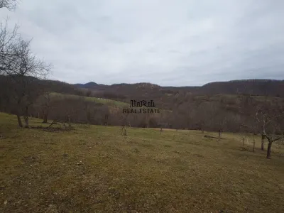 Teren intravilan si extravilan Luncoiu de Jos - foto 10
