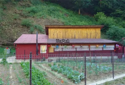 Casa renovata cu acces usor, langa padure - foto 12