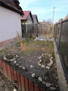 Casa tip parter zona Vadu Pasii - foto 15