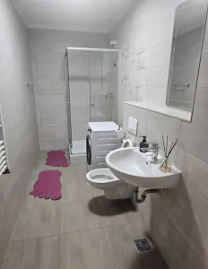 Apartament 2 Camere zona Coresi - foto 11