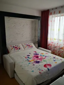 Studio zona Noua - Brasov