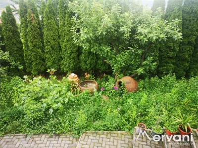 Casa de vanzare/ inchiriat in Poiana Campina - foto 22