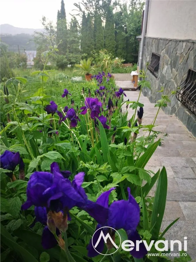 Casa de vanzare/ inchiriat in Poiana Campina - foto 25