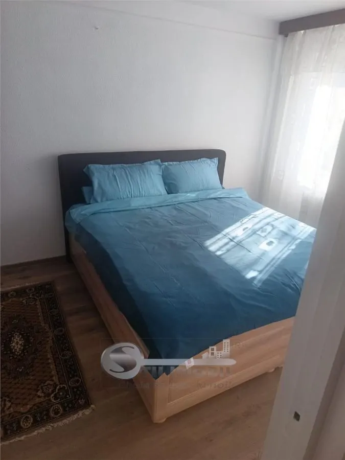 Apartament 2 Camere Cantemir - 400 euro - foto 13