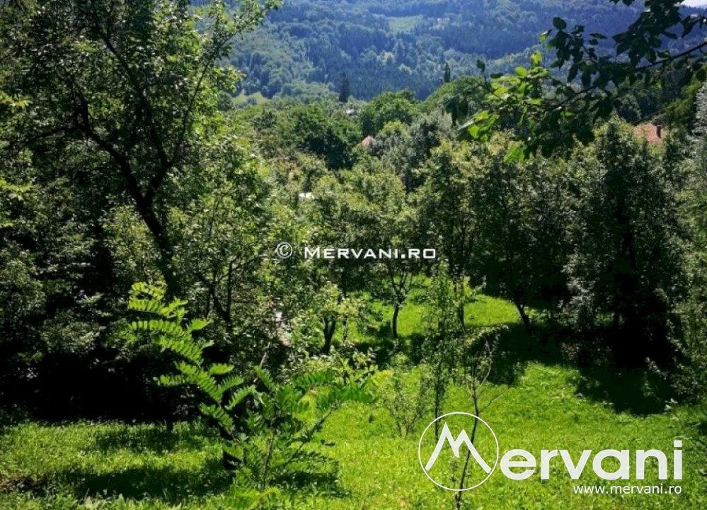 Teren de vanzare in Comarnic (zona Poiana) - foto 1