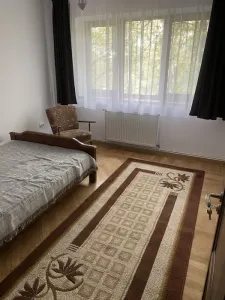 Apartament 3 Camere ULTACENTRAL - 700 euro - foto 5