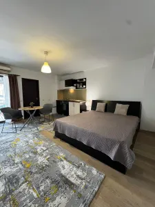Apartament cu 1 camera mobilat - lângă facultăţi - Tudor V. - 390EUR - Iasi