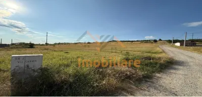 TEREN DE VANZARE | INTRAVILAN | 1638 MP | BEIUS - Beius