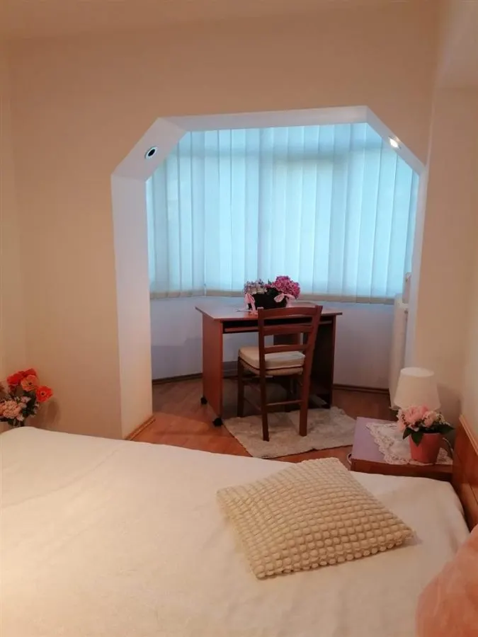 Apartament 2 camere - Zona Nicolina - 449 Euro - foto 4