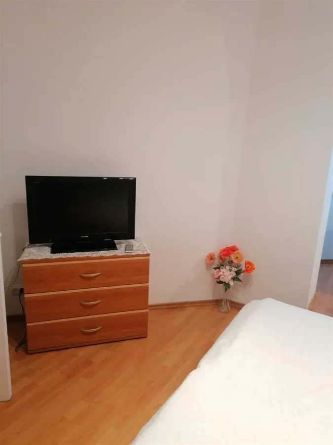 Apartament 2 camere - Zona Nicolina - 449 Euro - foto 6