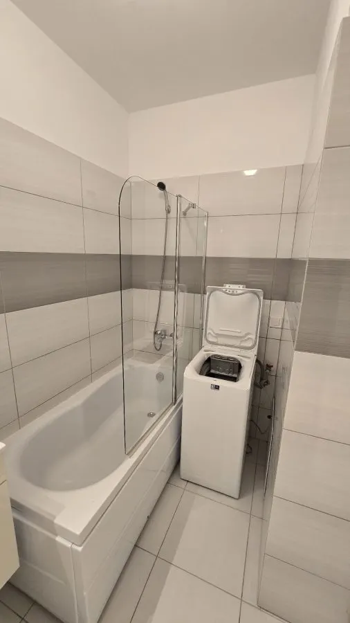 Apartament 2 camere Bucium - 350 euro - foto 4
