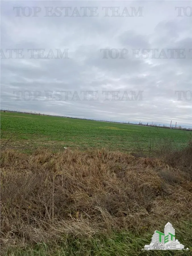 Teren Extravilan in Prahova - foto 1