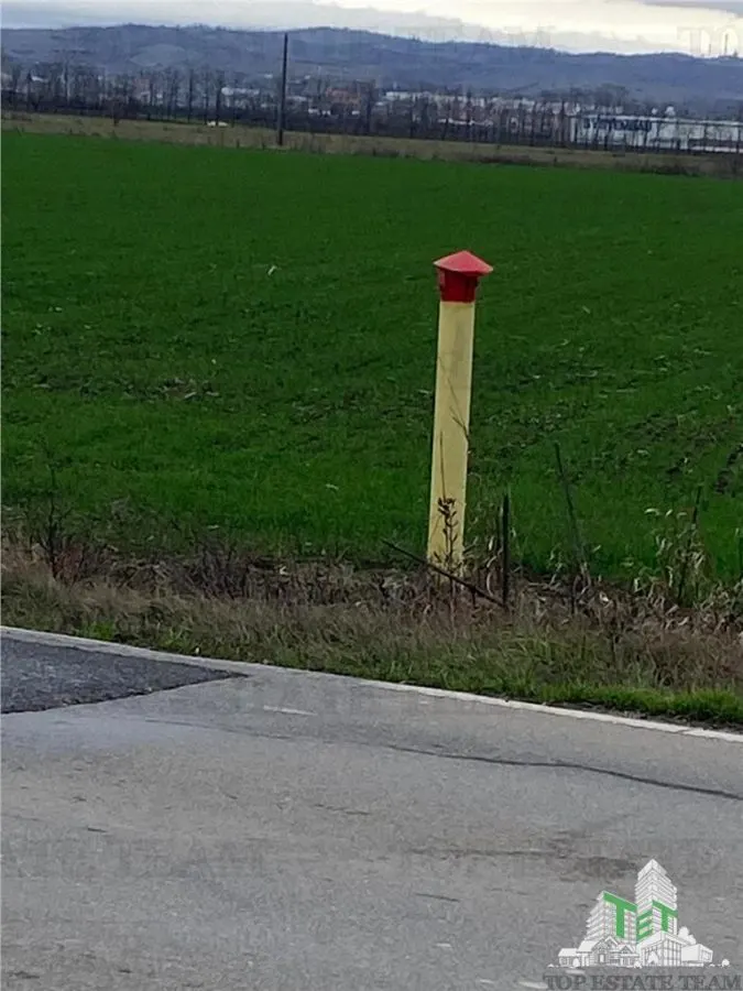 Teren Extravilan in Prahova - foto 4