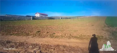 Simnicu de Sus, langa Craiova/ Teren extravilan de 5.000 mp, arabil - Simnicu de Sus