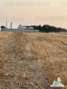 TEREN 2500MP BALACEANCA - foto 5