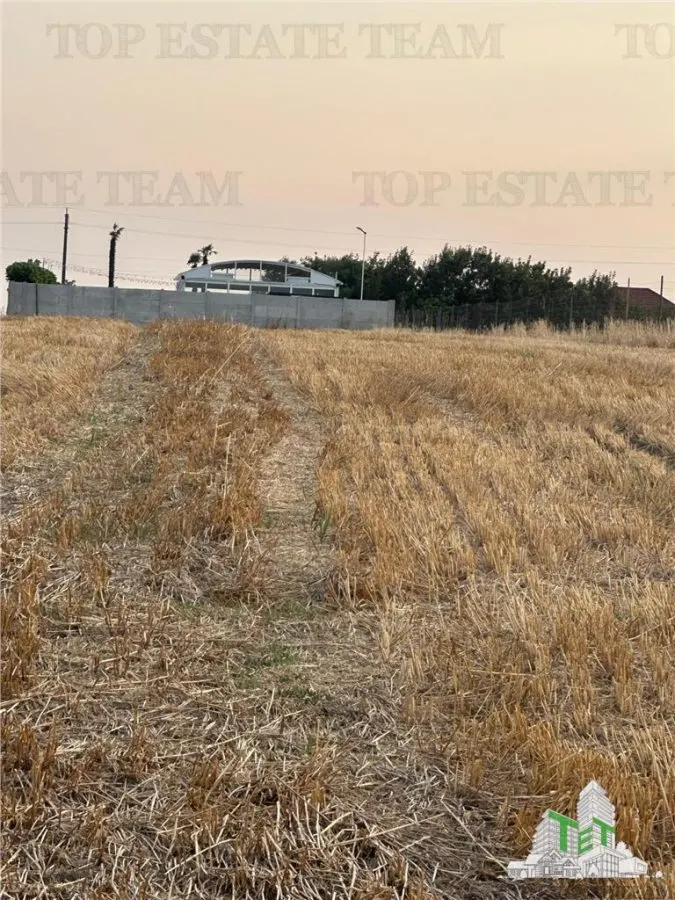 TEREN 2500MP BALACEANCA - foto 5