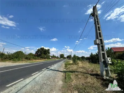 Teren stradal de vanzare in Calarasi / Frumusani - foto 4